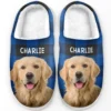 Allurin - Personalized Foto - Warm Slippers